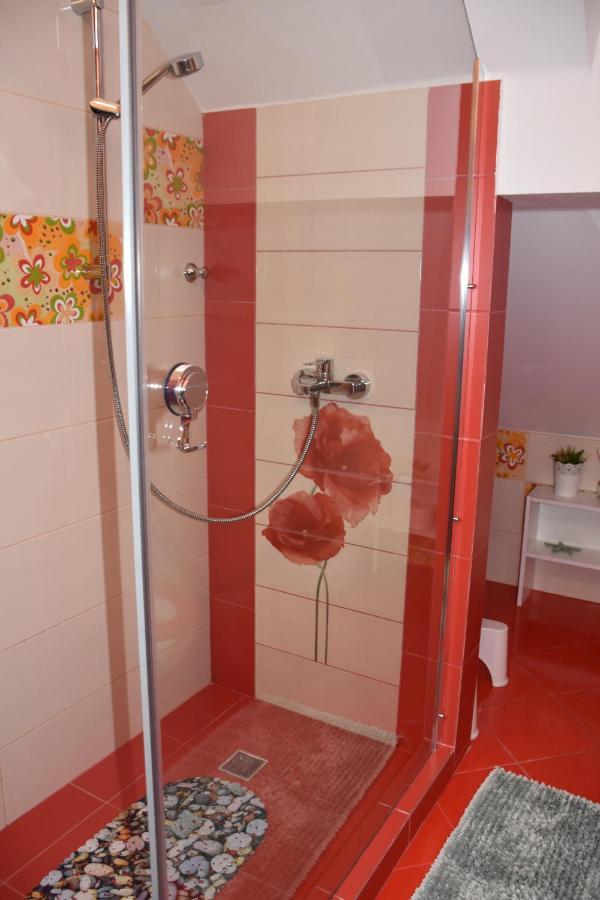 Janine Garden Hotell Braşov Exteriör bild