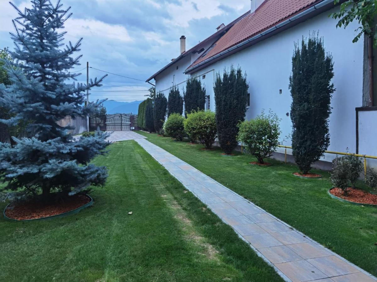 Janine Garden Hotell Braşov Exteriör bild
