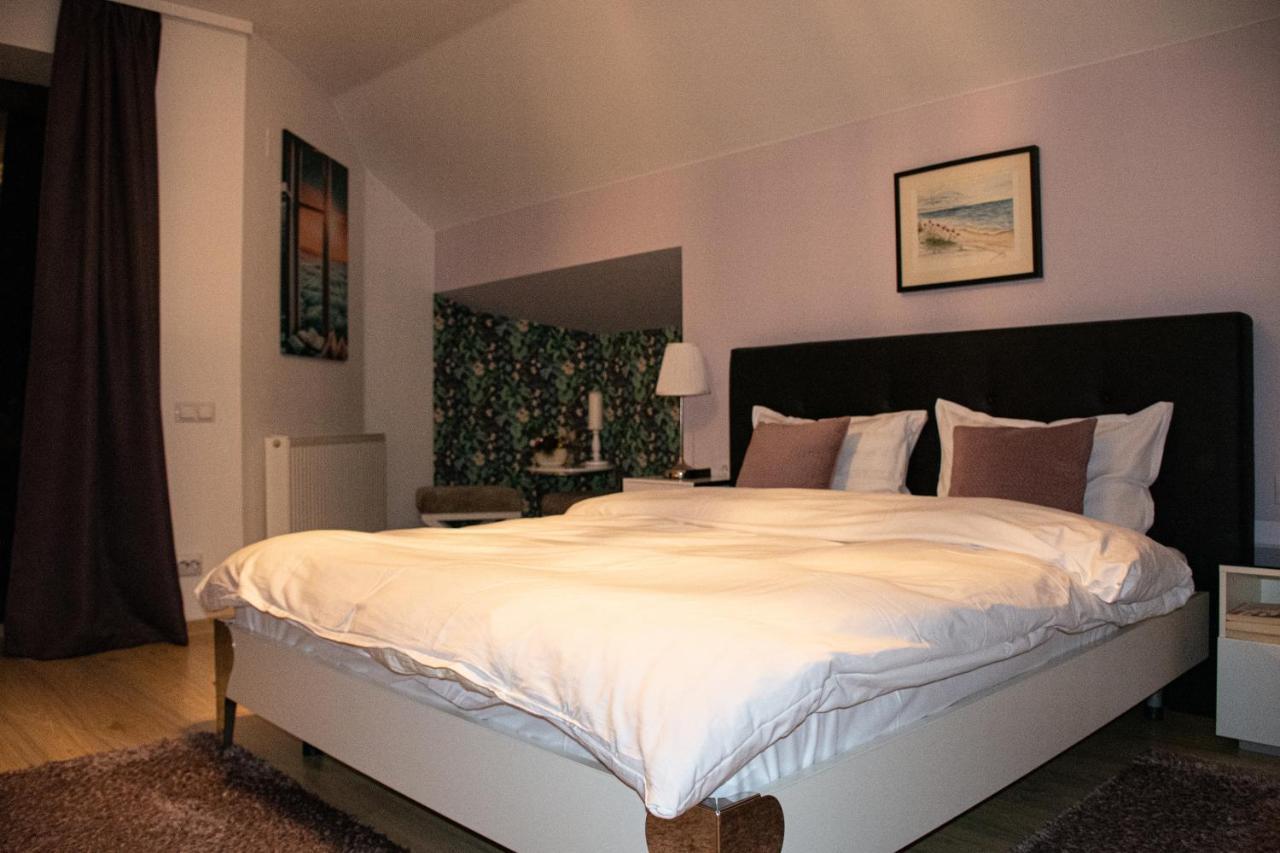 Janine Garden Hotell Braşov Exteriör bild