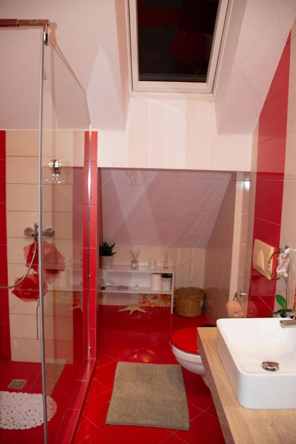 Janine Garden Hotell Braşov Exteriör bild